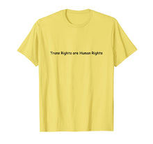 Ladda upp bild till gallerivisning, Funny shirts V-neck Tank top Hoodie sweatshirt usa uk au ca gifts for Trans Rights are Human Rights T shirt 3909026
