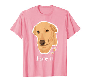 Funny shirts V-neck Tank top Hoodie sweatshirt usa uk au ca gifts for Cute Golden Yellow Lab T Shirt Gifts Labrador Face Dog Labby 1628698