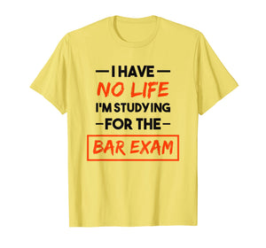 Funny shirts V-neck Tank top Hoodie sweatshirt usa uk au ca gifts for Bar Exam Tee Shirt Funny Law School Graduation Gifts 1046684