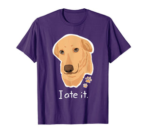 Funny shirts V-neck Tank top Hoodie sweatshirt usa uk au ca gifts for Cute Golden Yellow Lab T Shirt Gifts Labrador Face Dog Labby 1628698
