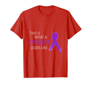 Domestic Violence Awareness Costume Purple Ribbon Gifts T-Shirt 1003467