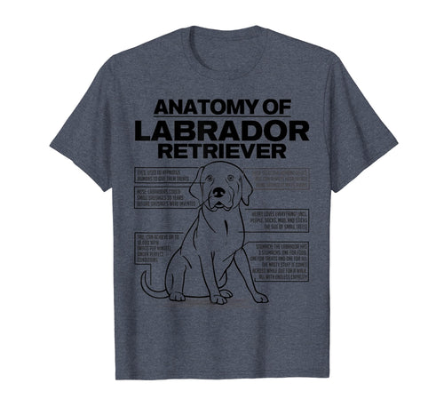 Funny shirts V-neck Tank top Hoodie sweatshirt usa uk au ca gifts for Anatomy of a Labrador Retriever Funny Dog owner gifts shirt 1041119