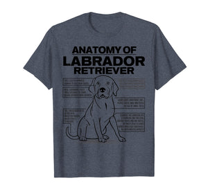 Funny shirts V-neck Tank top Hoodie sweatshirt usa uk au ca gifts for Anatomy of a Labrador Retriever Funny Dog owner gifts shirt 1041119