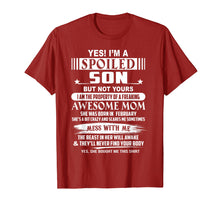 Ladda upp bild till gallerivisning, Funny shirts V-neck Tank top Hoodie sweatshirt usa uk au ca gifts for Yes I'm a spoiled Son of a February Mom T-shirt 1453864

