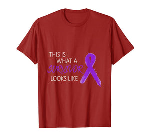 Domestic Violence Awareness Costume Purple Ribbon Gifts T-Shirt 1003467