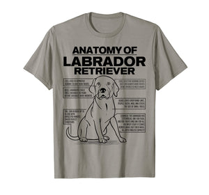 Funny shirts V-neck Tank top Hoodie sweatshirt usa uk au ca gifts for Anatomy of a Labrador Retriever Funny Dog owner gifts shirt 1042957